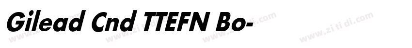 Gilead Cnd TT EFN Bo字体转换 Gilead Cnd TT EFN Bo字体转换